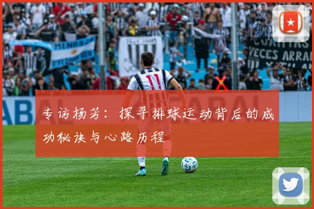 专访杨芳：探寻排球运动背后的成功秘诀与心路历程