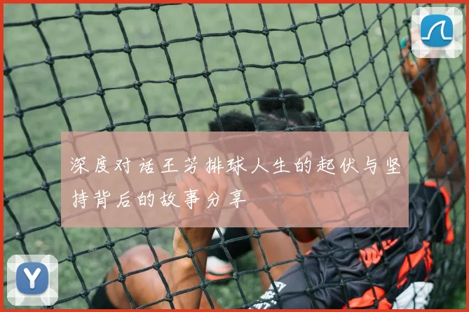 深度对话王芳排球人生的起伏与坚持背后的故事分享